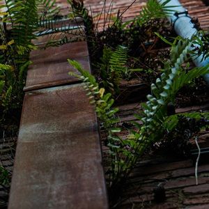 Meet your Posher, Adriana